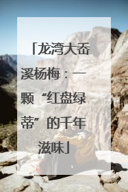 龙湾大岙溪杨梅：一颗“红盘绿蒂”的千年滋味