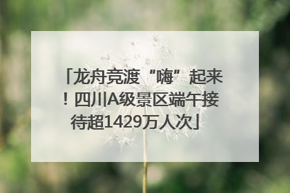 龙舟竞渡“嗨”起来！四川A级景区端午接待超1429万人次