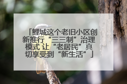 鲤城这个老旧小区创新推行“三三制”治理模式 让“老居民”真切享受到“新生活”