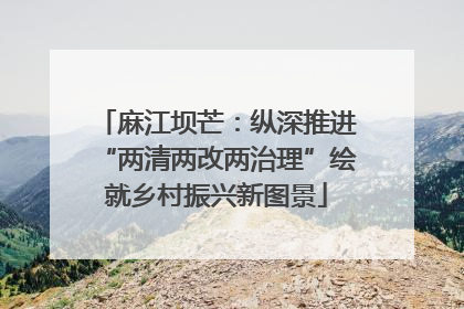 麻江坝芒：纵深推进“两清两改两治理”绘就乡村振兴新图景