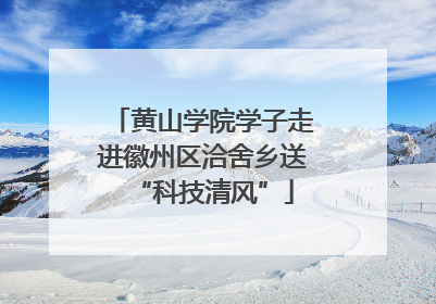 黄山学院学子走进徽州区洽舍乡送“科技清风”