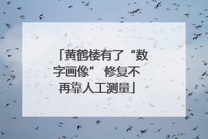 黄鹤楼有了“数字画像” 修复不再靠人工测量