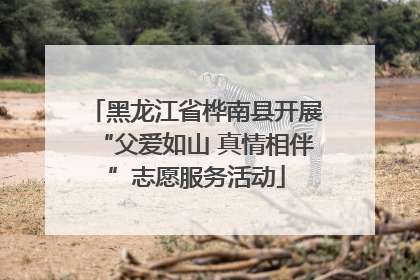 黑龙江省桦南县开展“父爱如山 真情相伴”志愿服务活动
