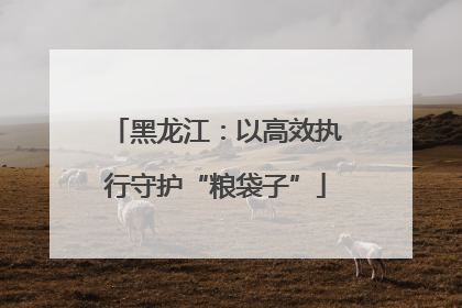 黑龙江：以高效执行守护“粮袋子”