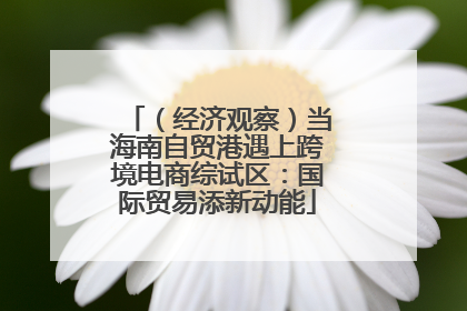（经济观察）当海南自贸港遇上跨境电商综试区：国际贸易添新动能