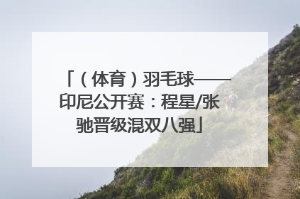 （体育）羽毛球——印尼公开赛：程星/张驰晋级混双八强