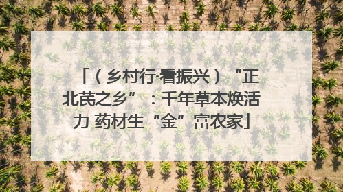 （乡村行·看振兴）“正北芪之乡”：千年草本焕活力 药材生“金”富农家