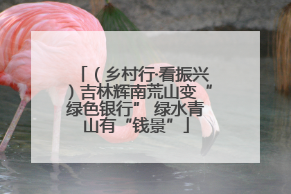 （乡村行·看振兴）吉林辉南荒山变“绿色银行” 绿水青山有“钱景”