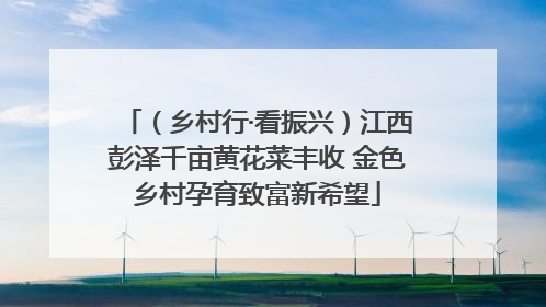 （乡村行·看振兴）江西彭泽千亩黄花菜丰收 金色乡村孕育致富新希望