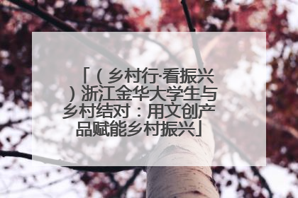（乡村行·看振兴）浙江金华大学生与乡村结对：用文创产品赋能乡村振兴