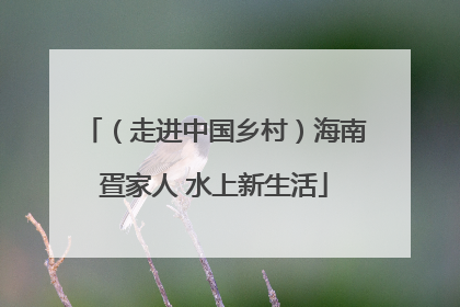 （走进中国乡村）海南疍家人 水上新生活
