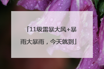 11级雷暴大风+暴雨大暴雨，今天就到
