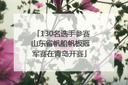 130名选手参赛 山东省帆船帆板冠军赛在青岛开赛