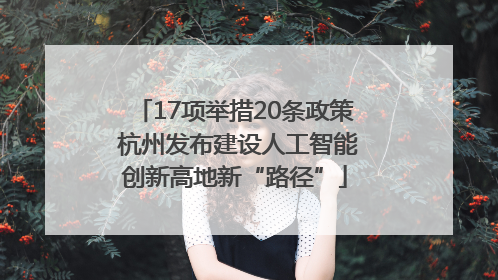 17项举措20条政策 杭州发布建设人工智能创新高地新“路径”