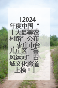 2024年度中国“十大最美农村路”公布，枣庄市台儿庄区“鲁风运河”古城文化廊道上榜！
