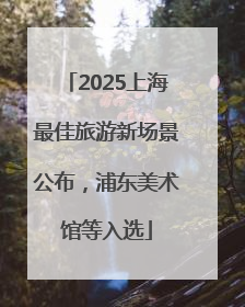 2025上海最佳旅游新场景公布，浦东美术馆等入选