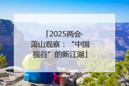 2025两会·萧山观察：“中国视谷”的新江湖