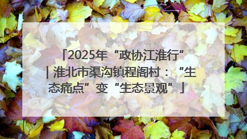 2025年“政协江淮行”｜淮北市渠沟镇程阁村：“生态痛点”变“生态景观”