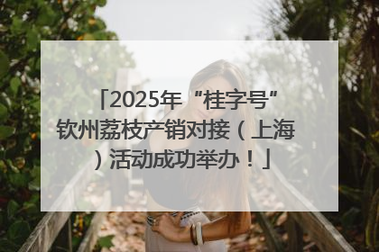 2025年“桂字号”钦州荔枝产销对接（上海）活动成功举办！