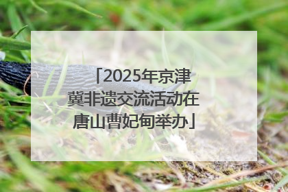 2025年京津冀非遗交流活动在唐山曹妃甸举办
