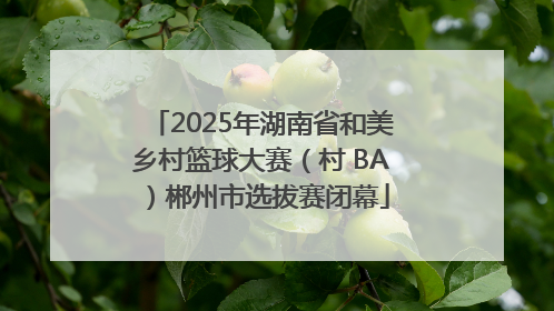 2025年湖南省和美乡村篮球大赛（村 BA）郴州市选拔赛闭幕