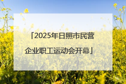 2025年日照市民营企业职工运动会开幕