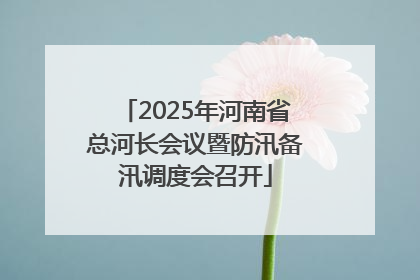 2025年河南省总河长会议暨防汛备汛调度会召开