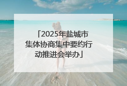 2025年盐城市集体协商集中要约行动推进会举办