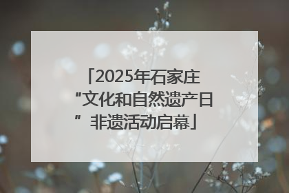 2025年石家庄“文化和自然遗产日”非遗活动启幕