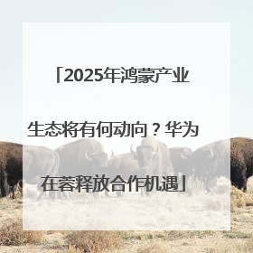 2025年鸿蒙产业生态将有何动向？华为在蓉释放合作机遇