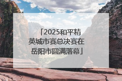 2025和平精英城市赛总决赛在岳阳市圆满落幕
