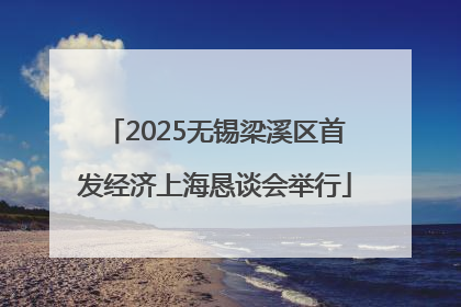 2025无锡梁溪区首发经济上海恳谈会举行