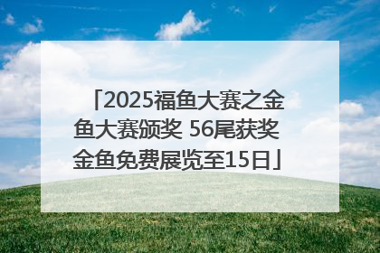 2025福鱼大赛之金鱼大赛颁奖 56尾获奖金鱼免费展览至15日