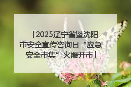 2025辽宁省暨沈阳市安全宣传咨询日“应急安全市集”火爆开市