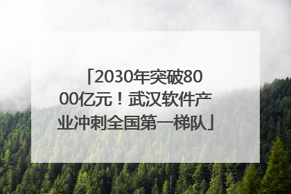 2030年突破8000亿元！武汉软件产业冲刺全国第一梯队