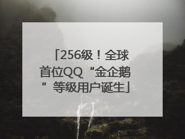 256级！全球首位QQ“金企鹅”等级用户诞生