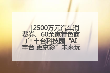 2500万元汽车消费券、60余家特色商户 丰台科技园“AI丰台 更京彩”未来玩家市集活动正式开幕