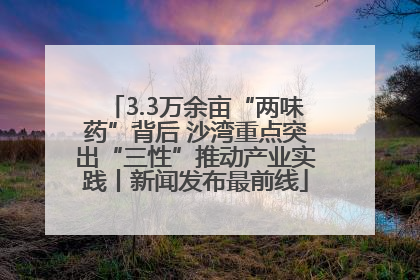 3.3万余亩“两味药”背后 沙湾重点突出“三性”推动产业实践丨新闻发布最前线