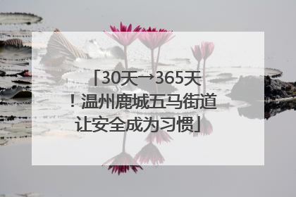 30天→365天！温州鹿城五马街道让安全成为习惯