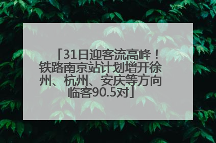 31日迎客流高峰！铁路南京站计划增开徐州、杭州、安庆等方向临客90.5对