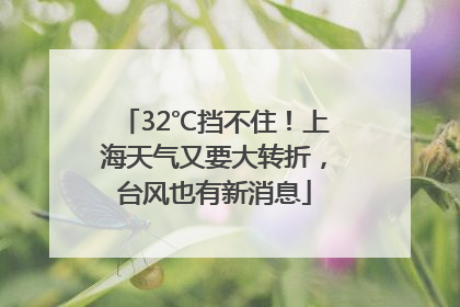 32℃挡不住！上海天气又要大转折，台风也有新消息