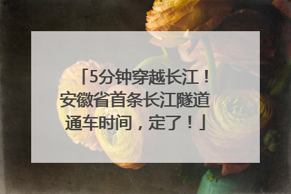 5分钟穿越长江！安徽省首条长江隧道通车时间，定了！