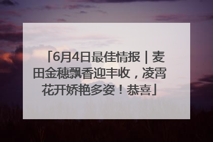 6月4日最佳情报｜麦田金穗飘香迎丰收，凌霄花开娇艳多姿！恭喜