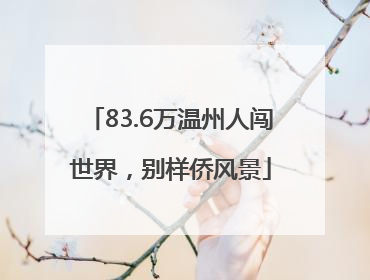 83.6万温州人闯世界，别样侨风景