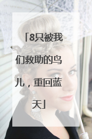 8只被我们救助的鸟儿，重回蓝天