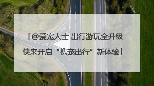 @爱宠人士 出行游玩全升级 快来开启“携宠出行”新体验