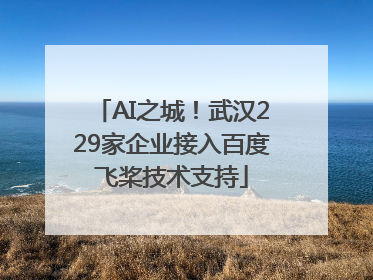 AI之城！武汉229家企业接入百度飞桨技术支持