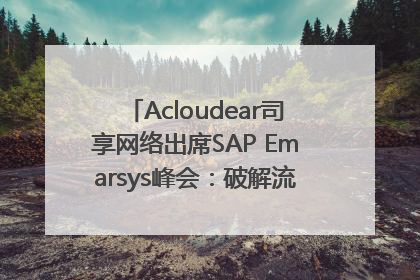Acloudear司享网络出席SAP Emarsys峰会：破解流量困局，驱动精准增长