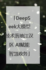 DeepSeek大模型技术落地江汉区 AI赋能智慧政务