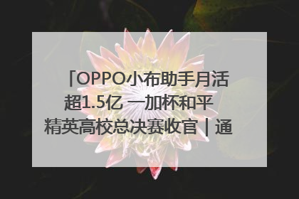 OPPO小布助手月活超1.5亿 一加杯和平精英高校总决赛收官｜通讯Plus·早报